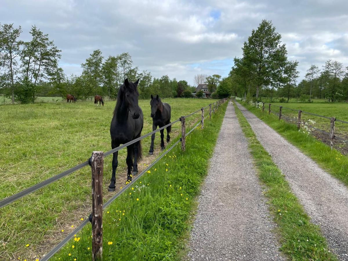 B&B Ut En Thus Sweagerbosk Eksteriør bilde